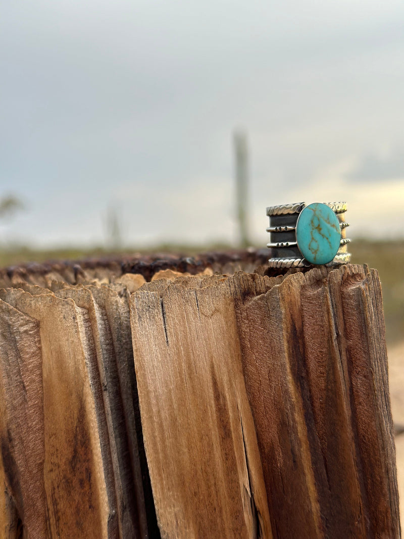 Shop Envi Me Earrings The San Rio Turquoise & Sterling Silver Ring (Real)