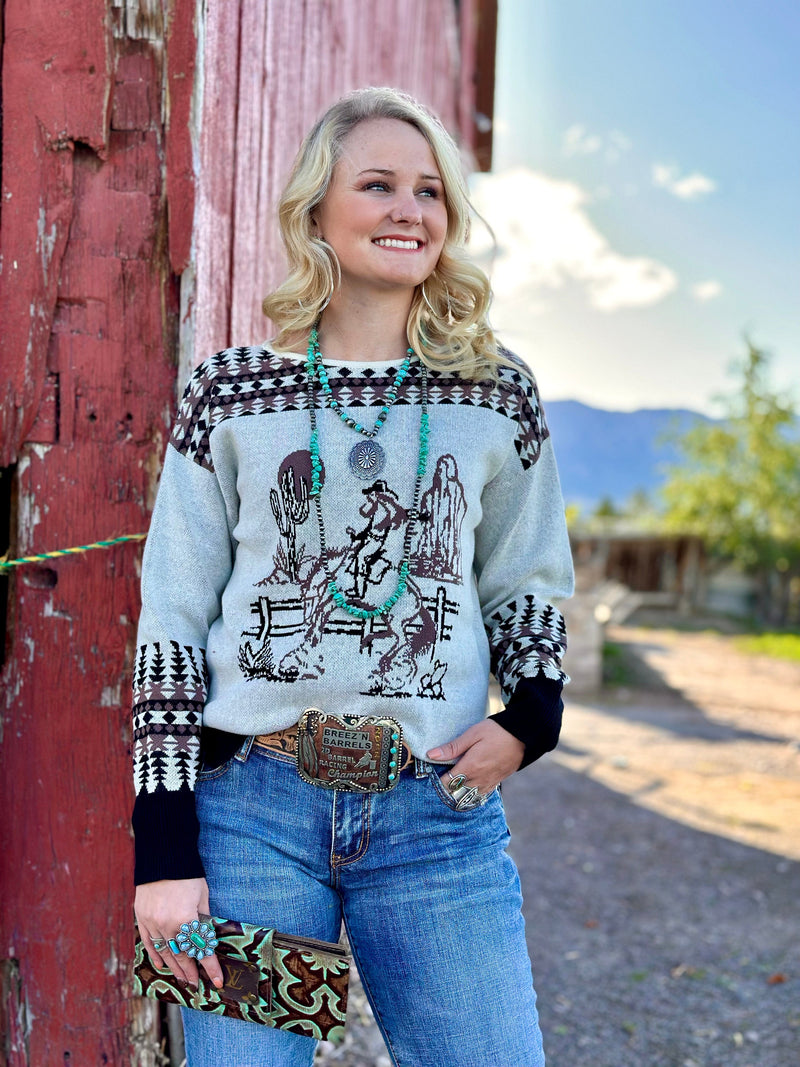 Shop Envi Me Tops and Tunics The Tuscson Cactus Bronc Sweater